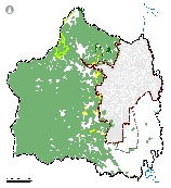 Mapa 16. Suelos de protección forestal
